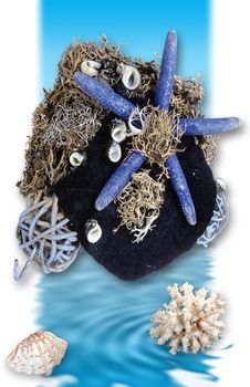 Navy Blue Sea Star Royalty Free Stock Images Navy Blue Sea Star Royalty Free Stock Images