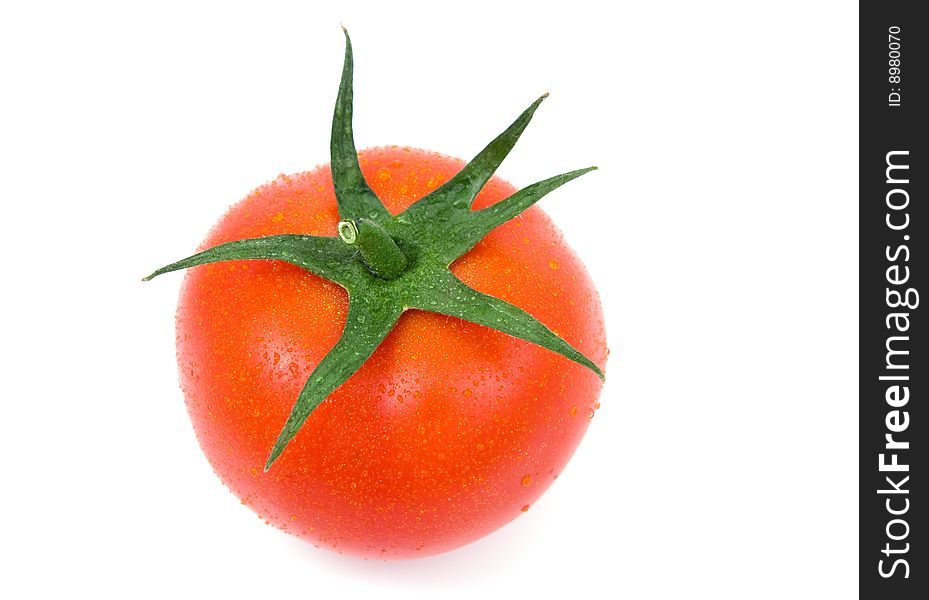 Tomato with water drops on isolated. Tomato with water drops on isolated