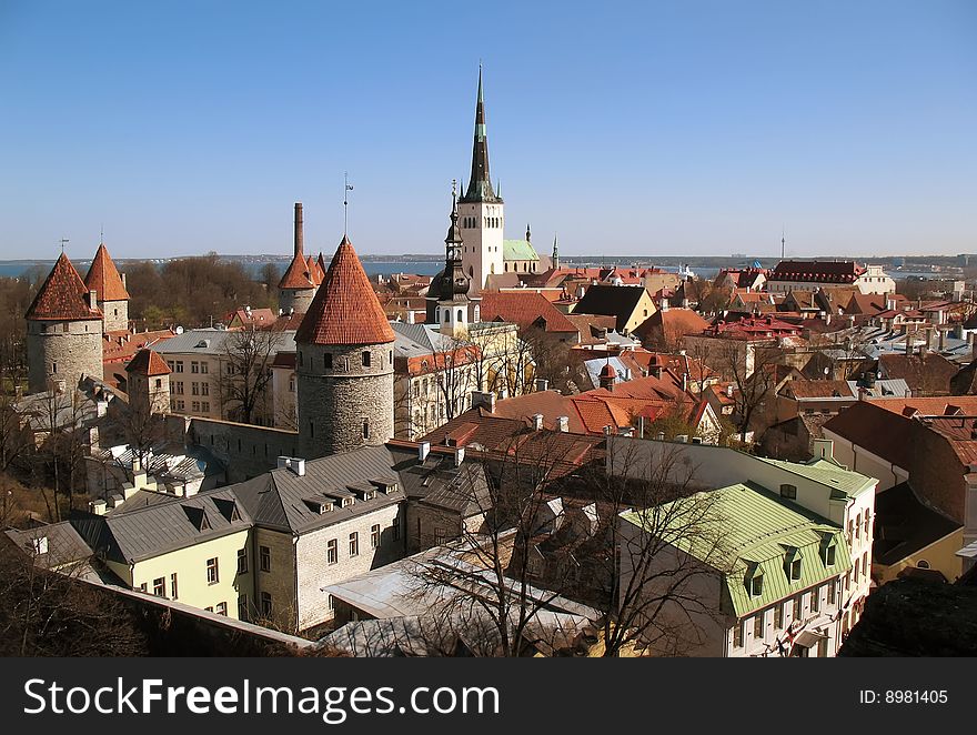 View of Tallinn with red and brown rooves. View of Tallinn with red and brown rooves