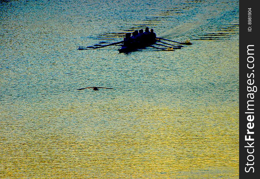 A beautiful image of rowers on the Arno river at sunset. A beautiful image of rowers on the Arno river at sunset