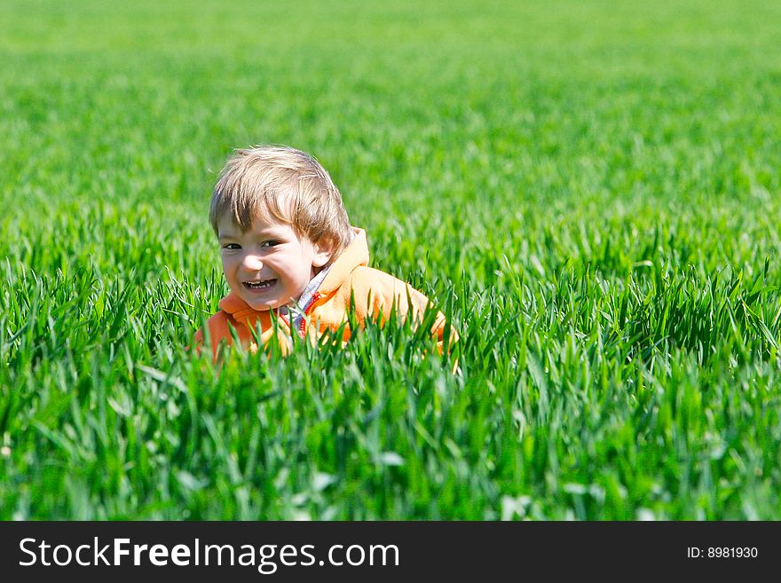 Happy boy in green grass