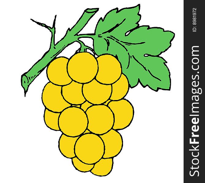 Illustration of grapes