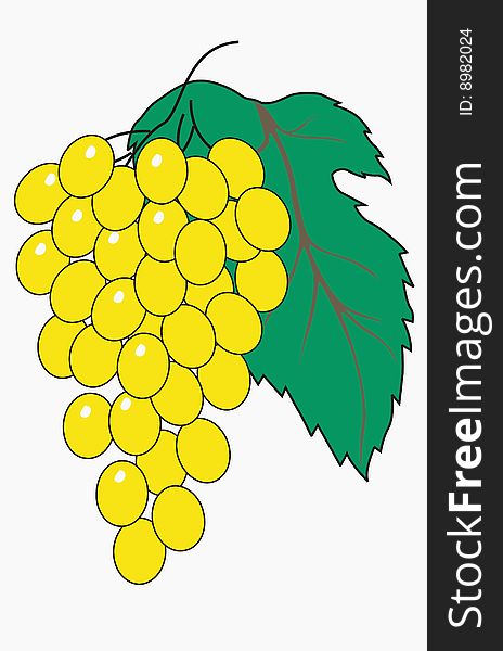 Illustration of grapes