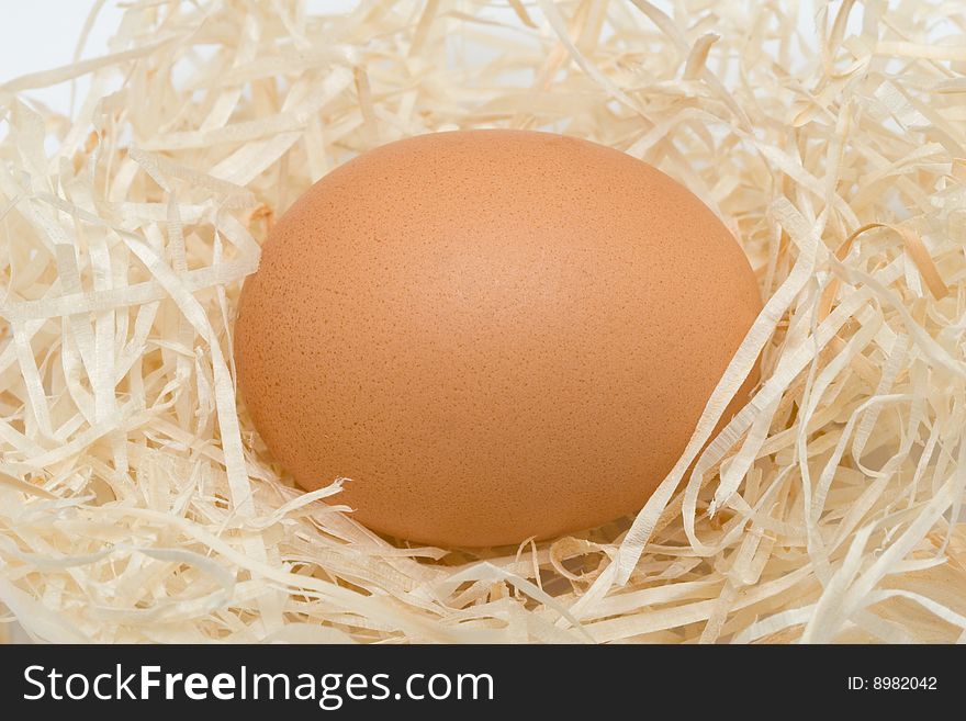 Egg in a nest close up.