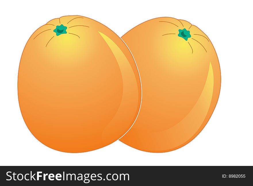 Still Life composition of oranges on a white background. Still Life composition of oranges on a white background