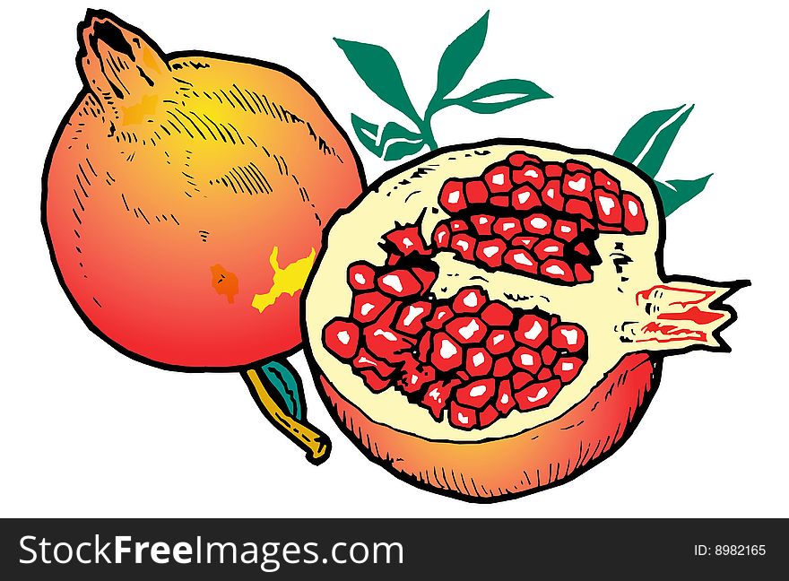 Illustration of Pomegranates on a white background. Illustration of Pomegranates on a white background