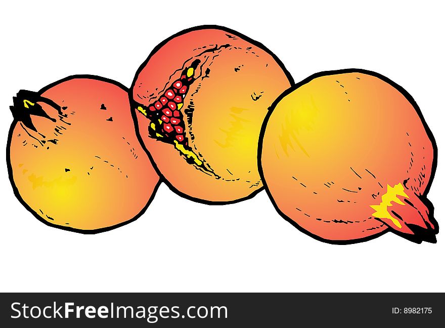 Illustration of Pomegranates on a white background. Illustration of Pomegranates on a white background