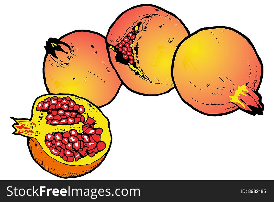 Illustration  Of Pomegranates