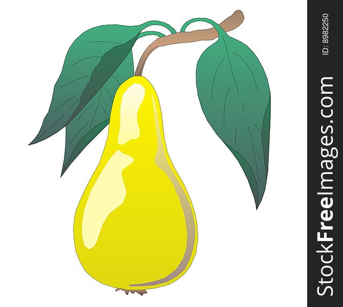 Illustration of a Pear on a white background