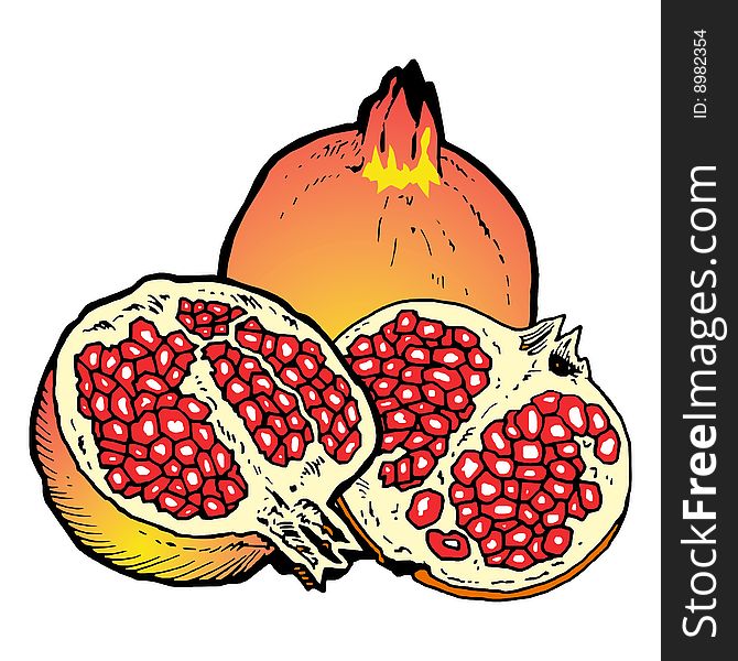 Illustration  Of Pomegranates