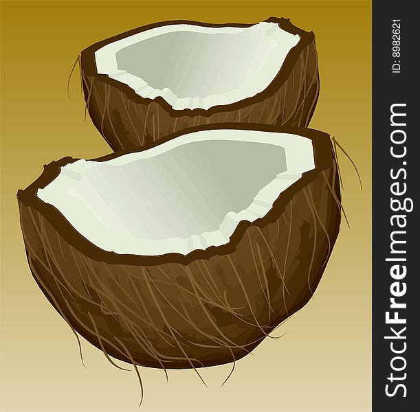 Illustration of a coconut on a brown background