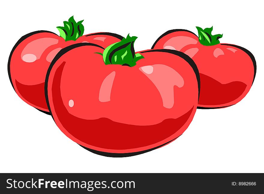 Illustration of a still life of tomatoes on a white background