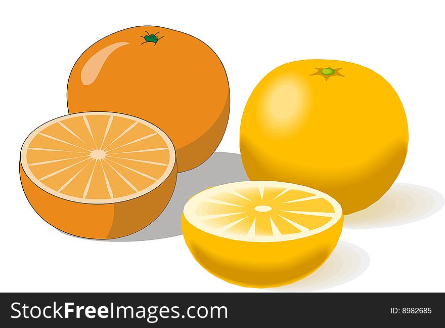 Still Life on a composition of oranges on a white background