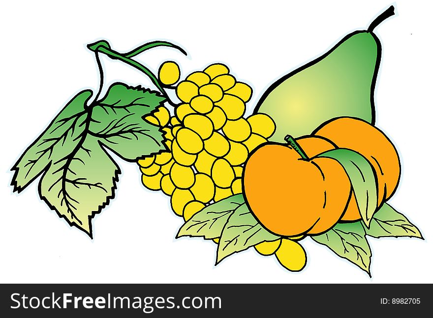 Still Life on a composition of fruit on a white background