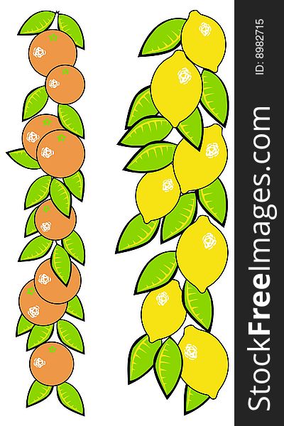 Illustration of a still life of oranges and lemons on a white background. Illustration of a still life of oranges and lemons on a white background