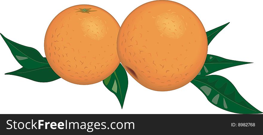 Still Life on a composition of oranges on a white background