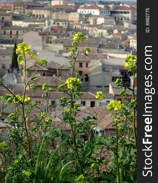 Toledo (Spain) roofline with flowers