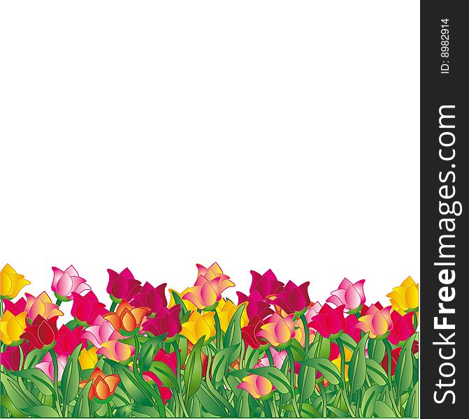 Beatiful spring floÂ´wers, you can write your text here. Beatiful spring floÂ´wers, you can write your text here