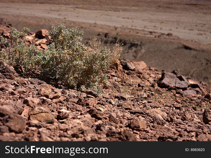 Death valley desert nature landscape