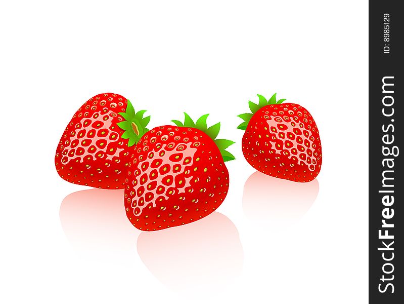 Illustration of three red strawberries. Illustration of three red strawberries