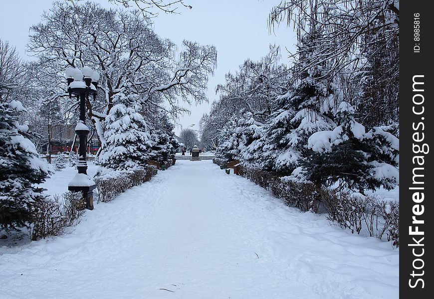 Winter park of city of Labinsk in January