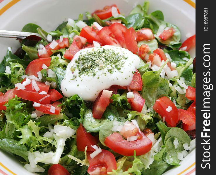 Fresh green salad with tomatoes in a bowl. Fresh green salad with tomatoes in a bowl