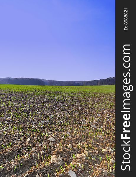 A rural field in spring on Swabian Alb, Baden-Wuerttemberg, Germany