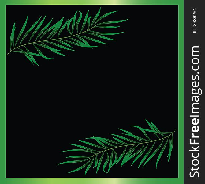 Two green branches on a black background. Two green branches on a black background