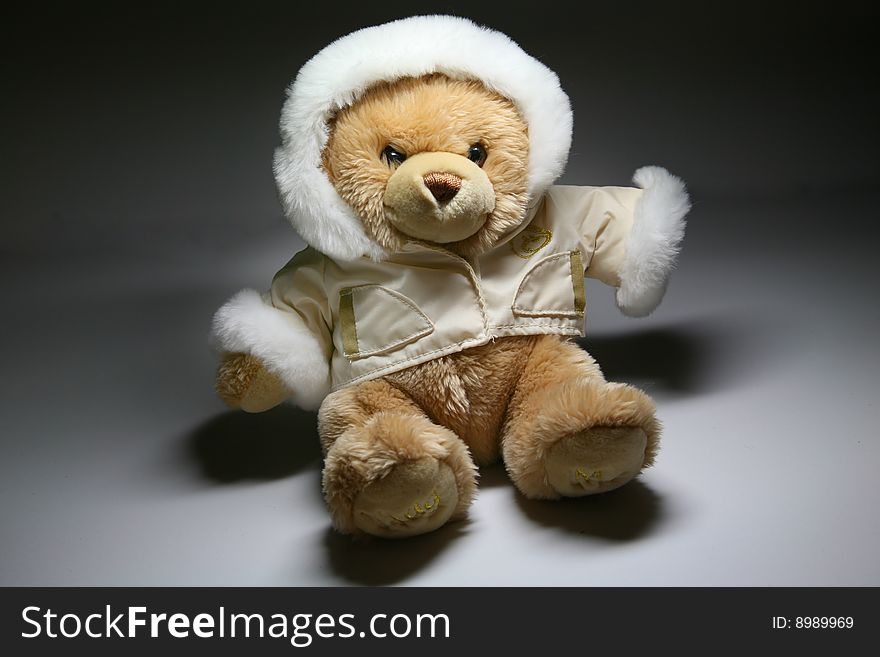 The toy bear for children