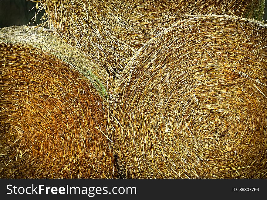 Close up of round bales of hay in sunlight.