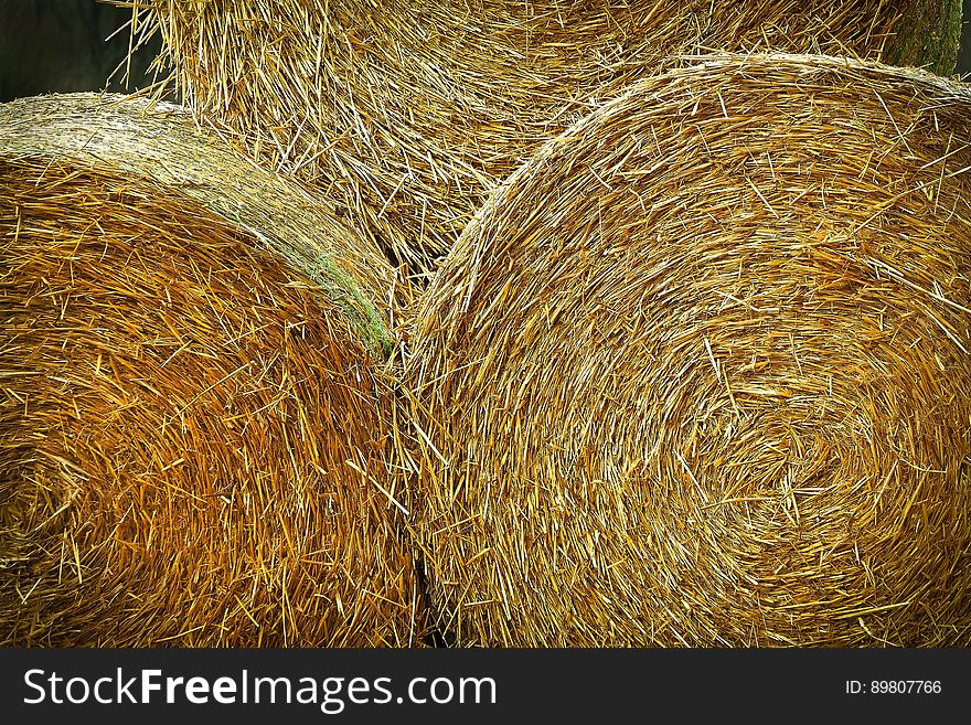 Bales Of Hay