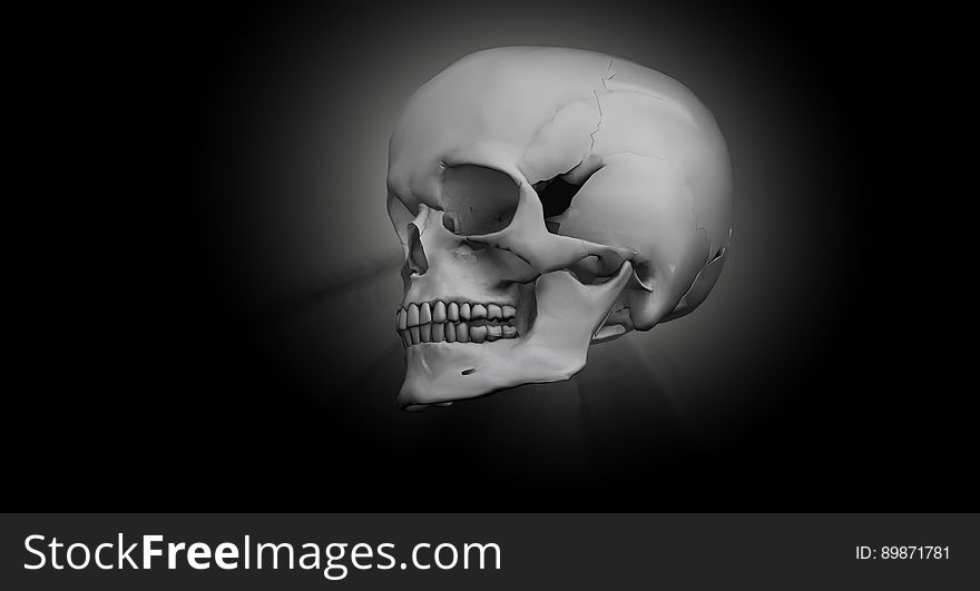 Face, Bone, Black And White, Skull