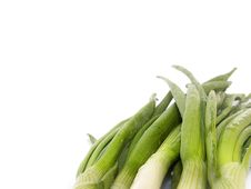 Green Onions Stock Image Green Onions Stock Image