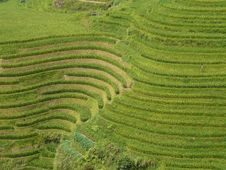 Longsheng Rice Terraces, China Stock Photo Longsheng Rice Terraces, China Stock Photo