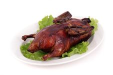 Duck Stock Photo
