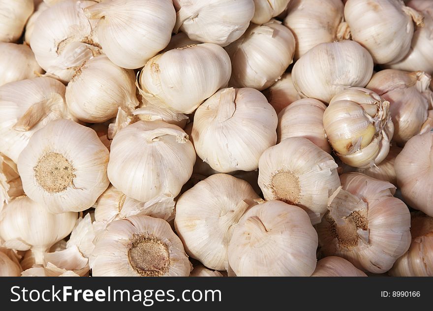 Garlic