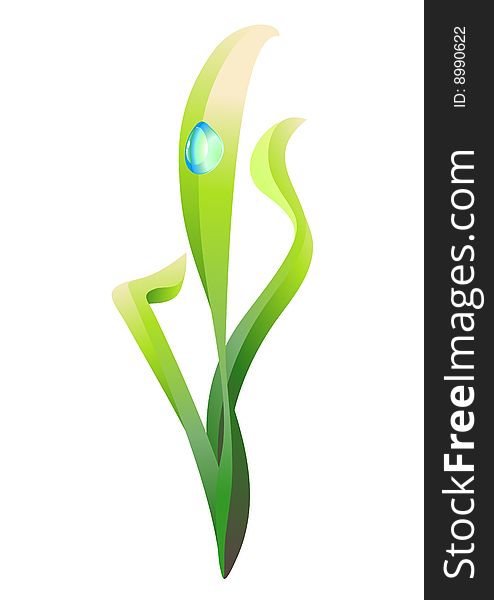 Vector illustration of the water drop, slipping on the plant leaves.