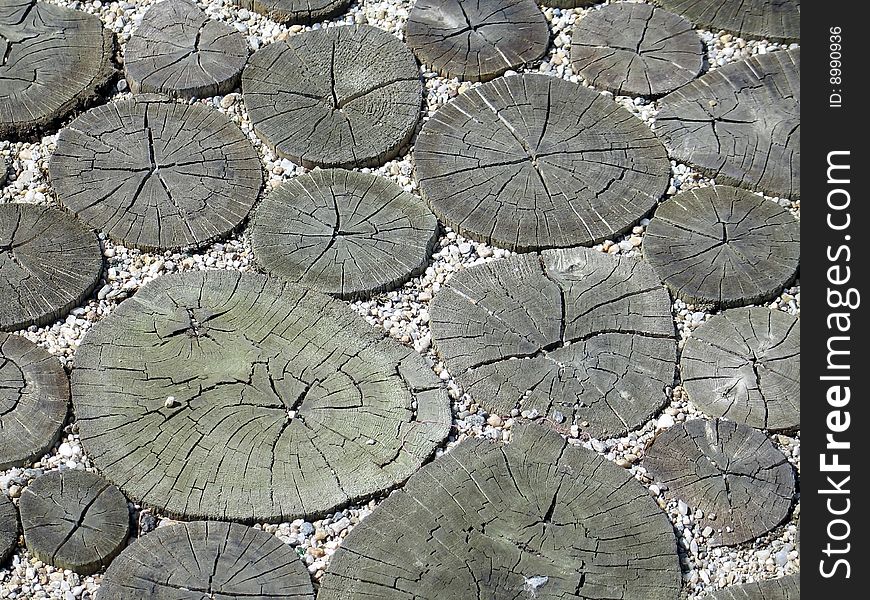 Some boles used for pavement in a park.