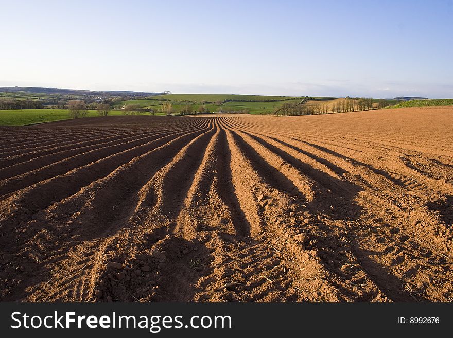 Ploughed field landscape