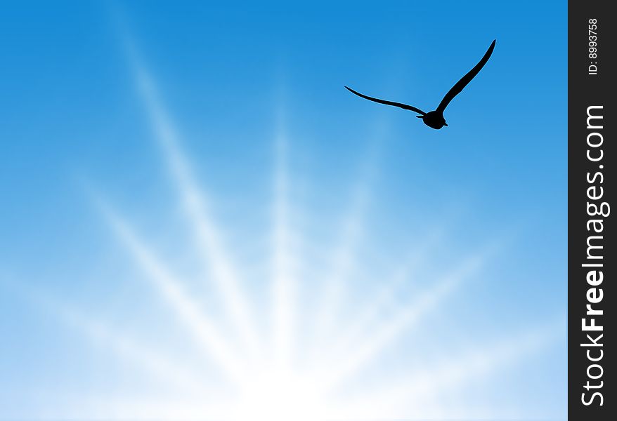 Summer sky with hot sun and gull in silhouette