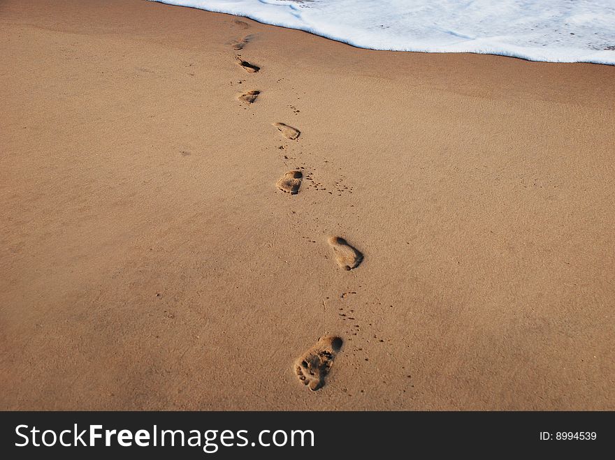 Human footprints on the beach. Human footprints on the beach