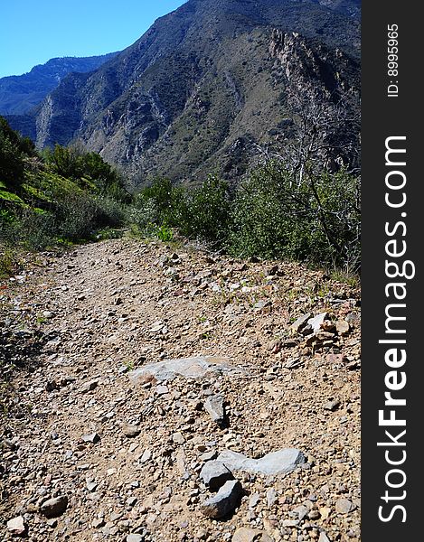 A descending trail is shown with a mountainous backdrop. Trees as well as shrubs are extended along the trail. A descending trail is shown with a mountainous backdrop. Trees as well as shrubs are extended along the trail.