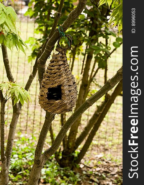 Cute little bird house hanging in yard. Cute little bird house hanging in yard