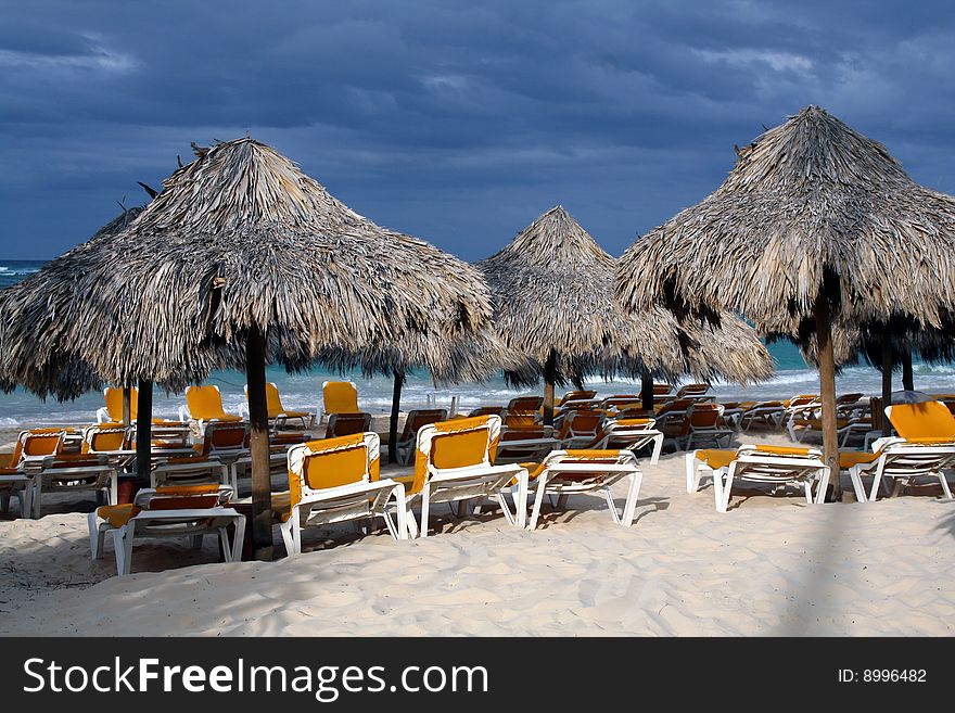 Caribbean sea beachfront palm tree. Caribbean sea beachfront palm tree