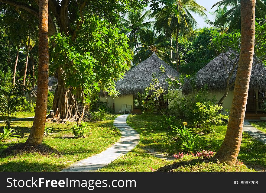 Bungalows and pathway, flowers and trees, vacation background