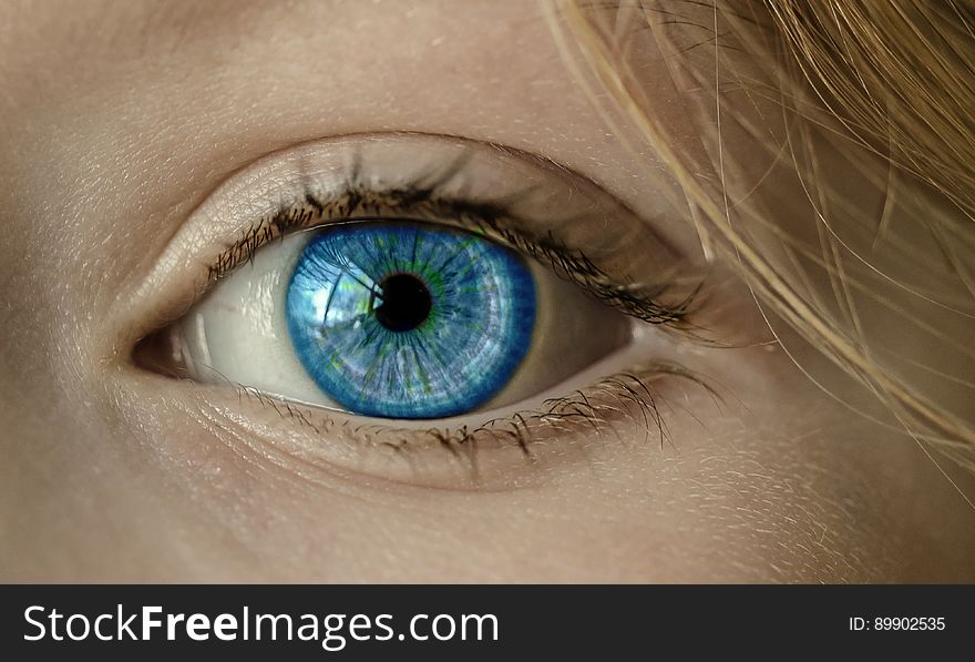 Eyebrow, Eye, Close Up, Eyelash