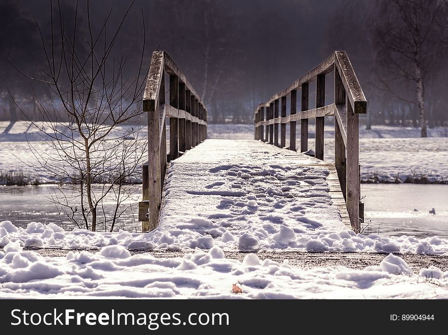 Winter, Snow, Bridge, Freezing