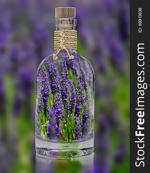 Glass Bottle, Bottle, Lavender, Purple