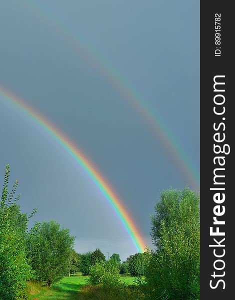 Rainbow, Sky, Meteorological Phenomenon, Phenomenon