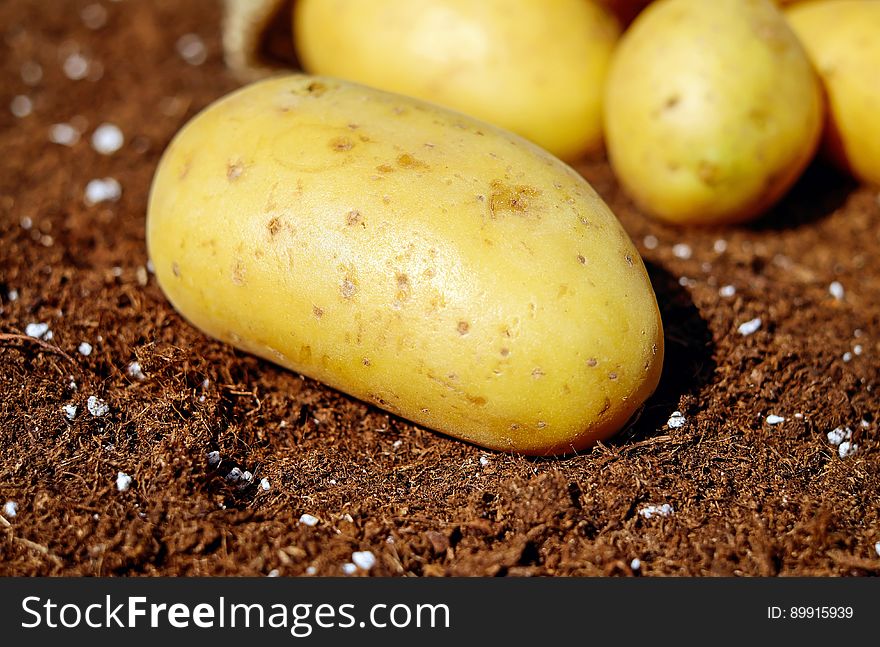 Root Vegetable, Potato, Yukon Gold Potato, Produce